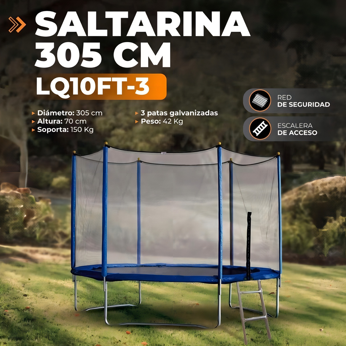 d 774399 mla79562255946 102024 f.jpg